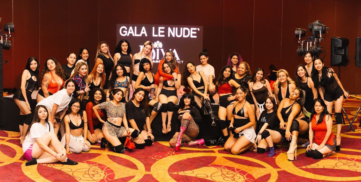 Comunidad Diva